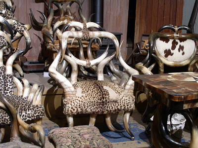 [Large steer horns used as arms, backrests, and feet for chairs. The image is a display of many chairs using different combinations of the horns as arms and backrests. The seats are padded and covered with leopard skin print fabric. One chair appears to have plain colored patches on it, so not sure if the animal print is real skin or fabric make to look like real skin..]